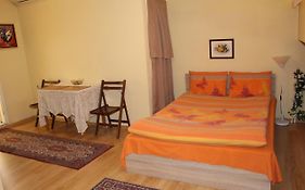 Studio Pleven Center